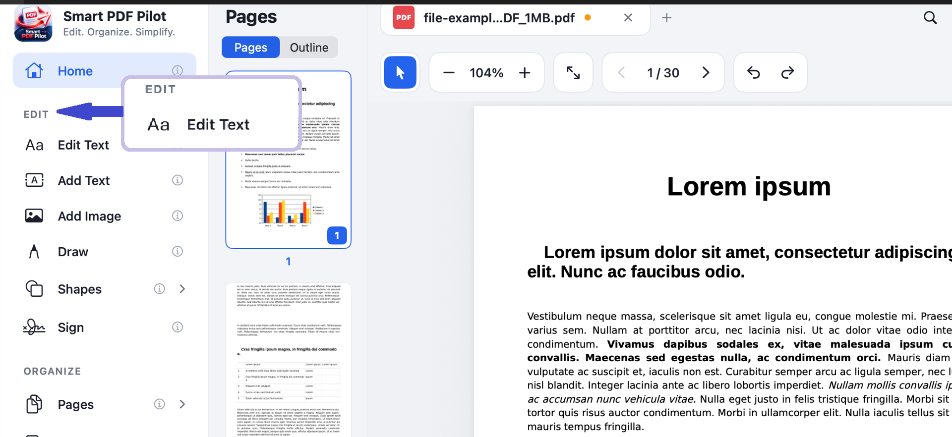 Additional Smart PDF Pilot editor workspace view
